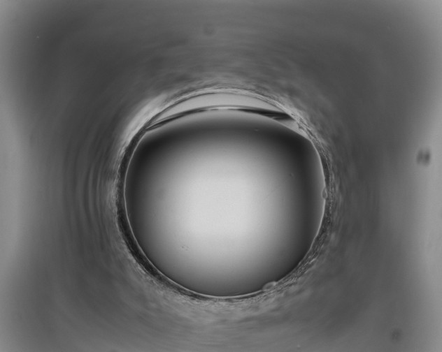 X0000097480007200802291409