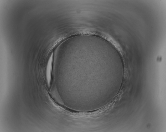 X0000097480009200802291409