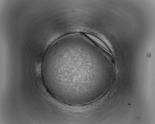 X0000097480010200802291409