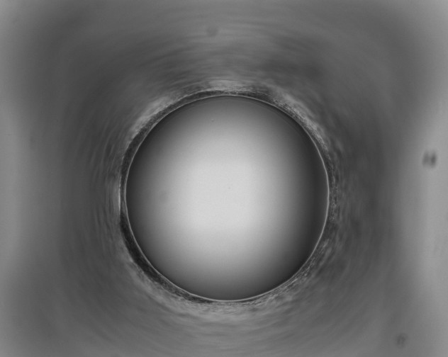 X0000097480011200802291409