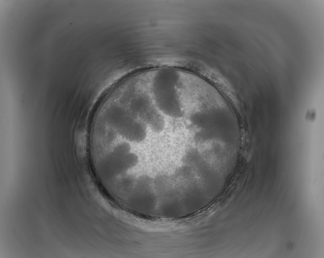 X0000097480012200802291409