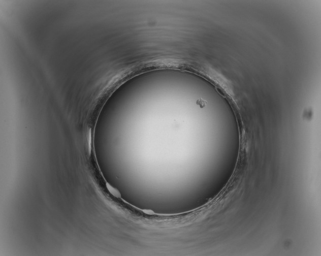 X0000097480013200802291409