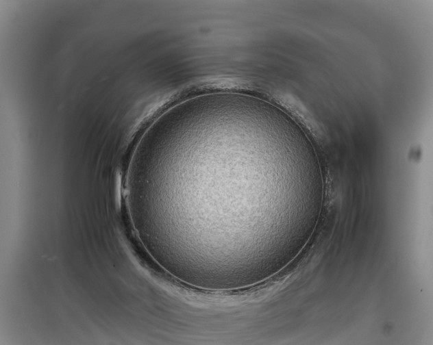 X0000097480014200802291409