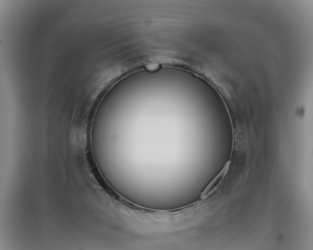 X0000097480015200802291409