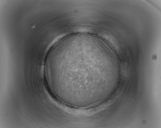 X0000097480016200802291409