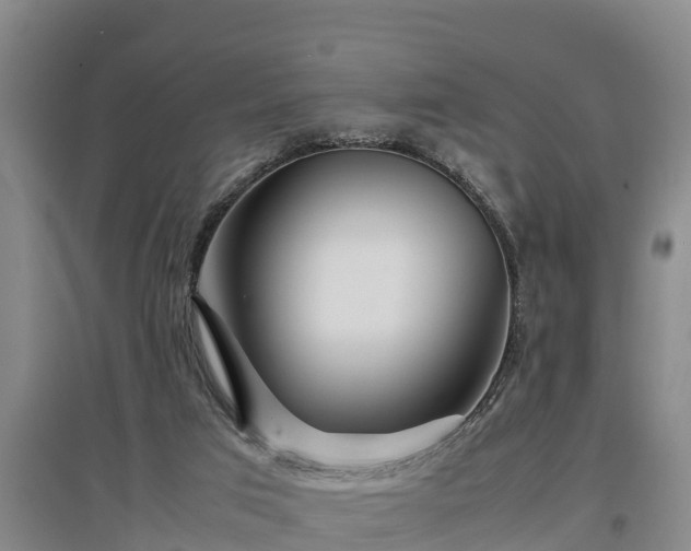 X0000097480017200802291409