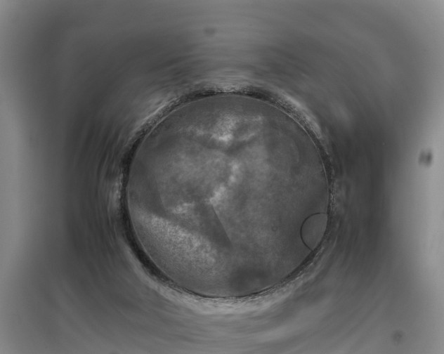 X0000097480018200802291409