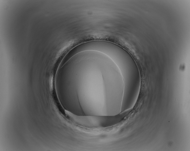 X0000097480019200802291409