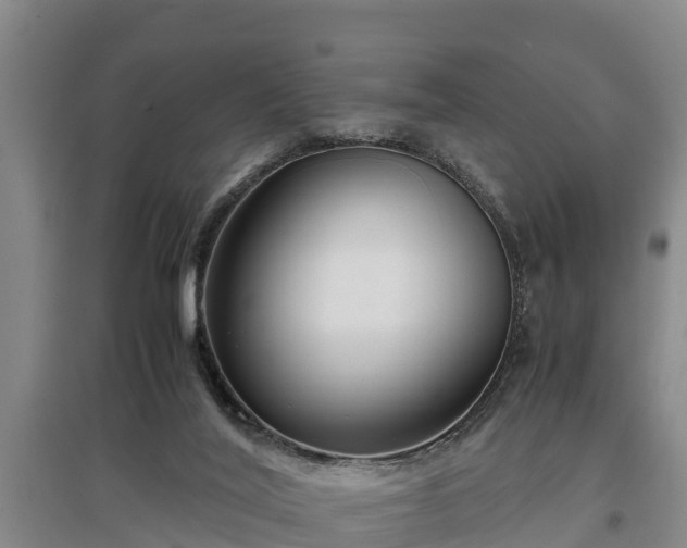 X0000097480020200802291409