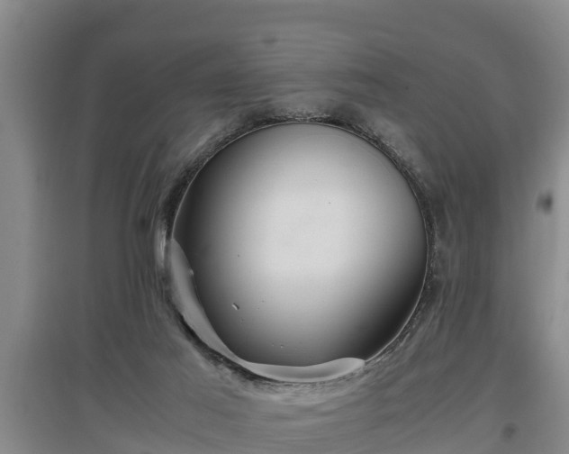 X0000097480021200802291409