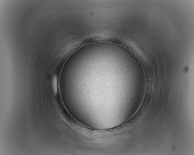 X0000097480022200802291409