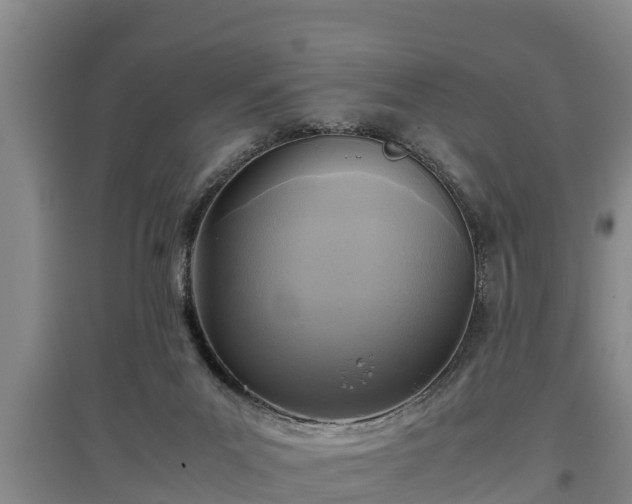 X0000097480023200802291409