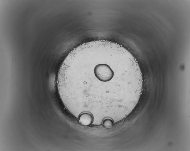 X0000097480024200802291409