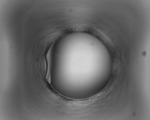 X0000097480025200802291409