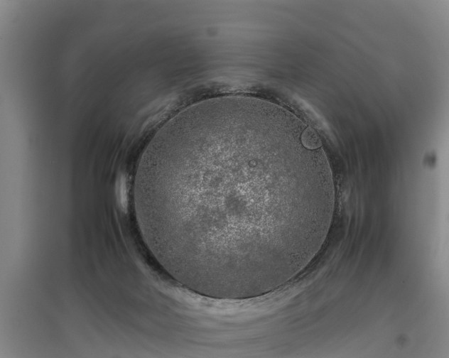 X0000097480026200802291409