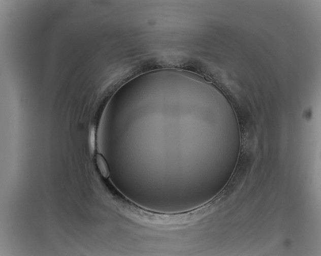 X0000097480027200802291409