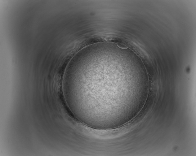 X0000097480030200802291409