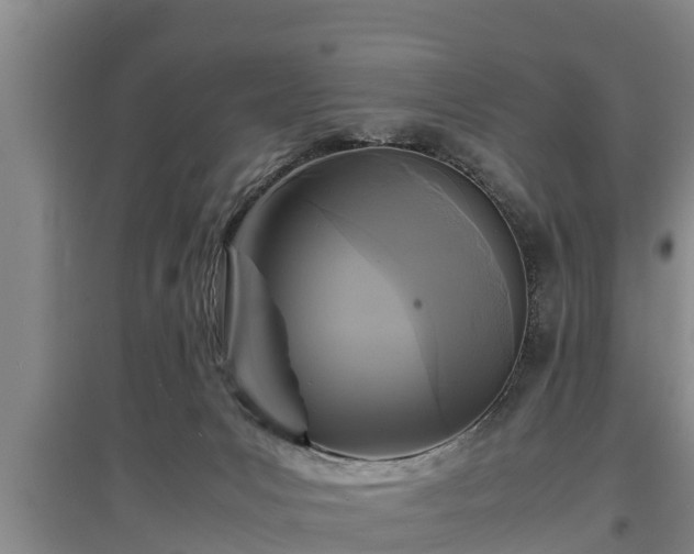 X0000097480031200802291409