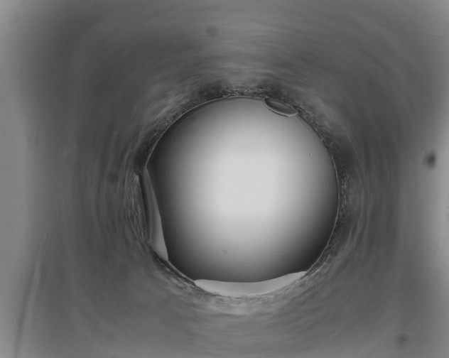 X0000097480033200802291409