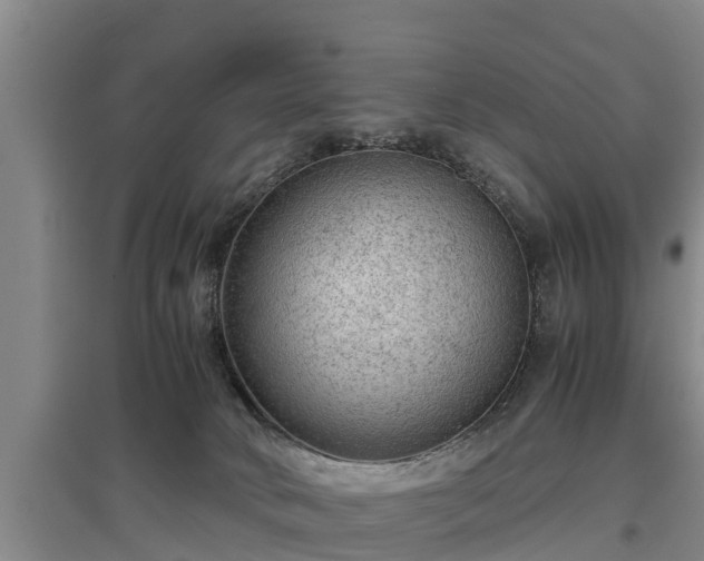 X0000097480034200802291409