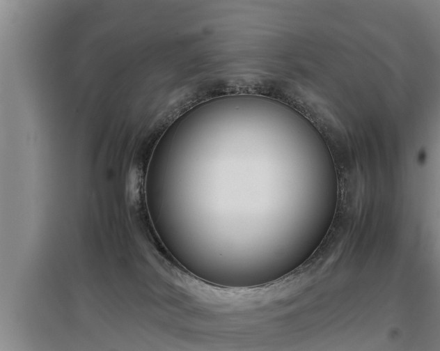 X0000097480038200802291409