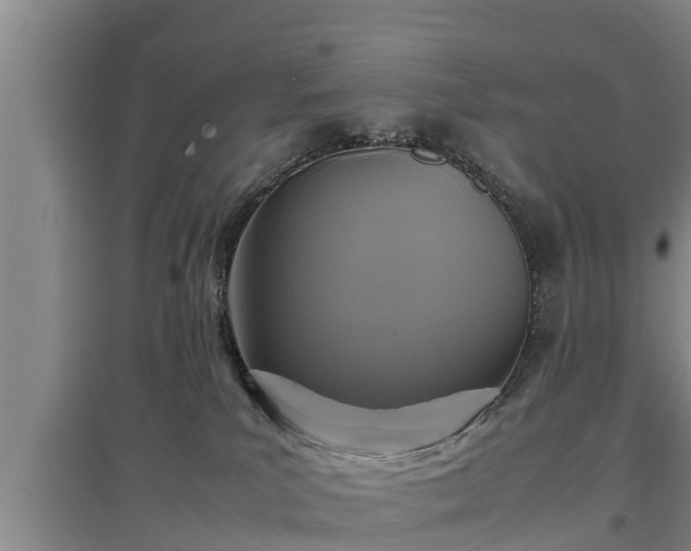 X0000097480039200802291409