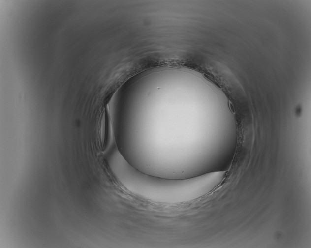 X0000097480041200802291409