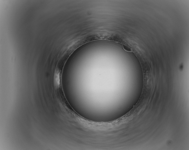 X0000097480042200802291409