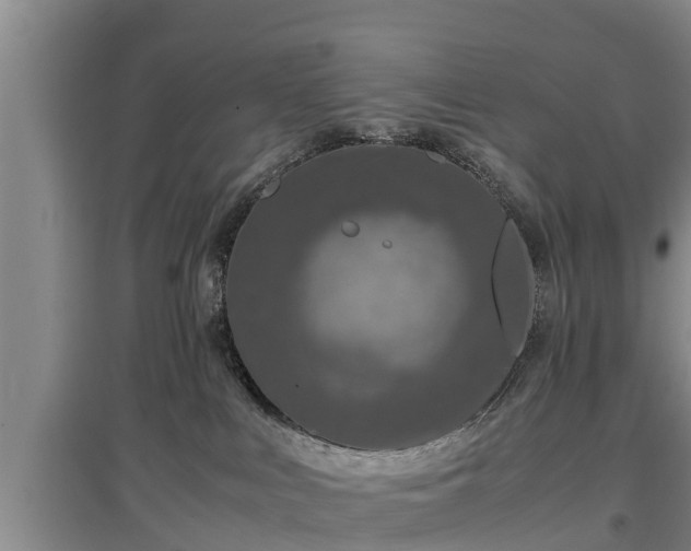 X0000097480043200802291409