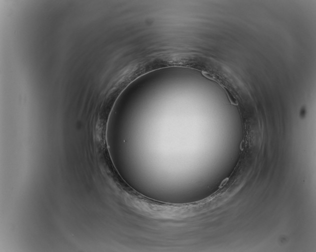 X0000097480044200802291409