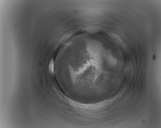 X0000097480046200802291409