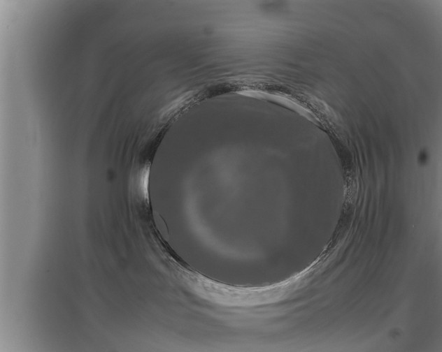 X0000097480047200802291409