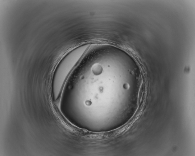 X0000097480049200802291408