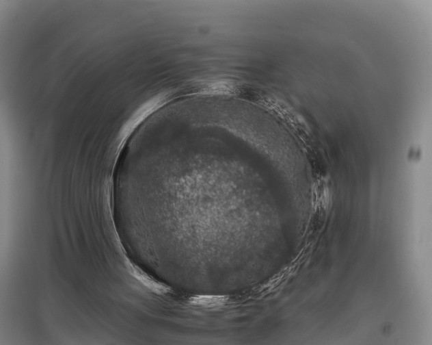 X0000097480051200802291408