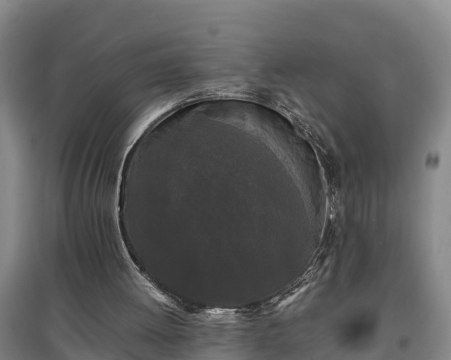 X0000097480052200802291408