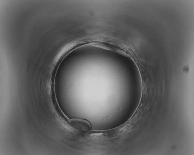 X0000097480054200802291408