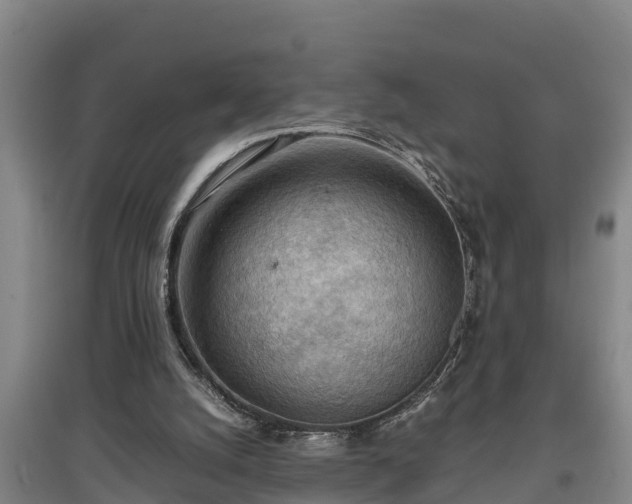 X0000097480056200802291408