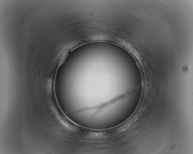 X0000097480057200802291408