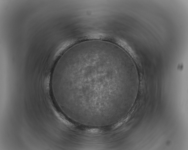 X0000097480058200802291408