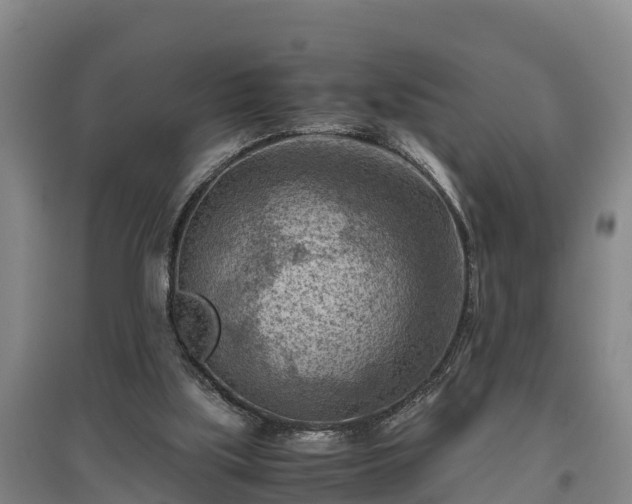 X0000097480059200802291408