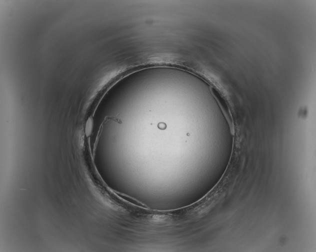 X0000097480060200802291408