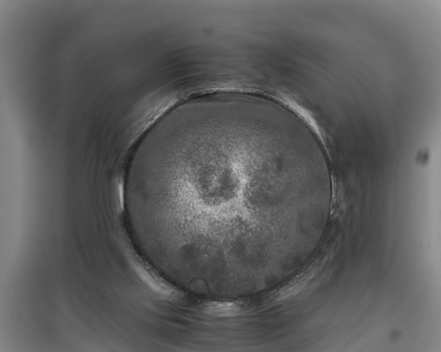 X0000097480061200802291408