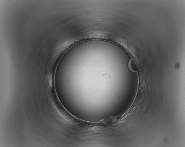 X0000097480062200802291408