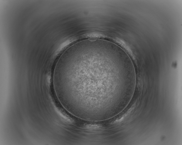 X0000097480063200802291408