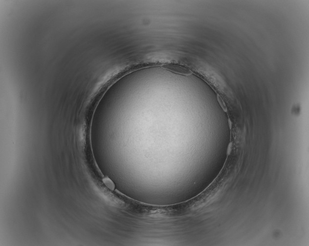 X0000097480064200802291408