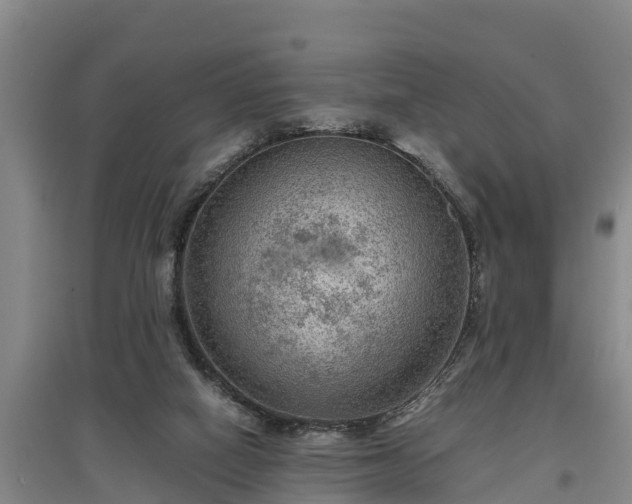 X0000097480066200802291408