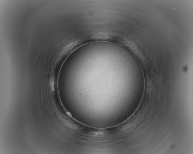 X0000097480068200802291408