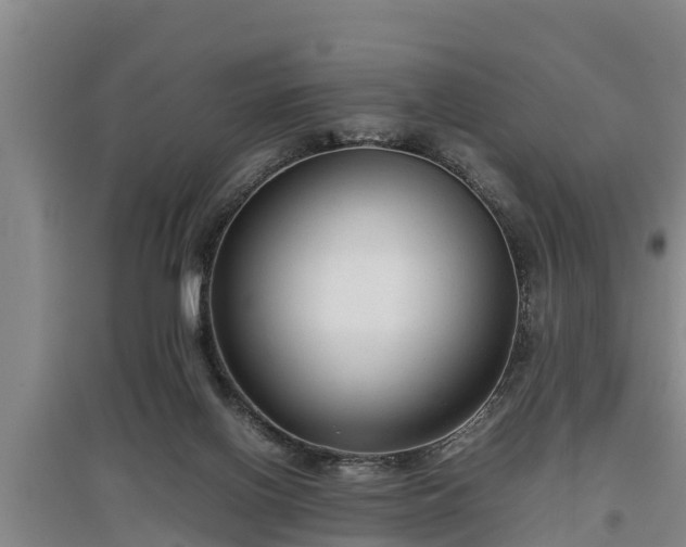 X0000097480070200802291408