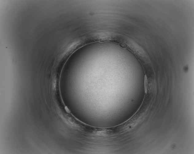 X0000097480072200802291408