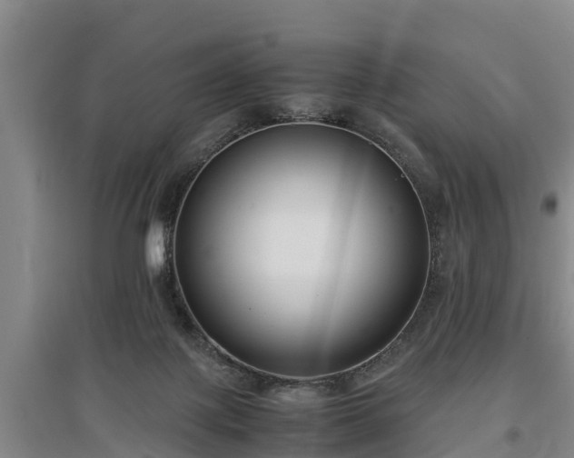 X0000097480075200802291408